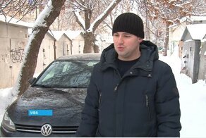 Гнилая свиная туша