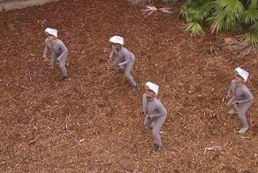 Очередная подборка интересных картинок и гифок