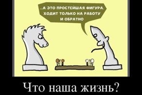 Подборка демотиваторов, которые поднимут вам настроение!