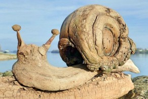 Скульптуры из коряг, выброшенных на берег