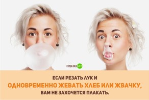 20 занимательных фактов об устройстве тела человека