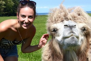 12 штатов США с самыми странными законами