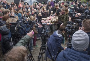 В Дании публично препарировали очередного льва