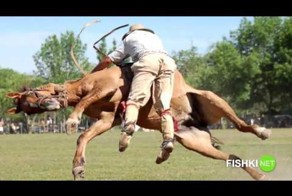 Мгновения, мгновения, мгновения: смешные фотографии, сделанные в удачный момент