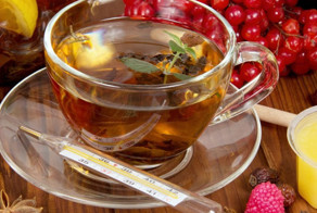 Свиной грипп уже в России 