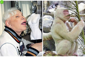 Животные-двойники известных личностей