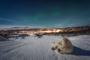 Фотоподборка за 25.01.2016