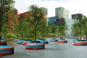 В Роттердаме скоро появится плавающий лес