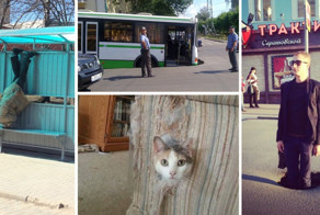 Застрявшие в текстурах