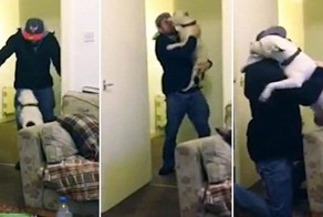 Радости собаки не было предела, когда её хозяин вернулся домой после недели пребывания в больнице