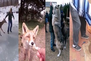 Для хорошего поступка всегда найдется время! 33 момента, которые восстановят вашу веру в человечество