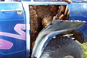 Когда мужчина отрезал панель своего автомобиля, то даже не подозревал, что увидит такое