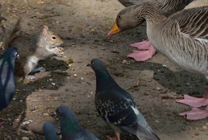 Фотоподборка за 29.01.2016