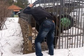 Как объяснить дураку, что он дурак? "Выживший" решил познакомиться с медведем