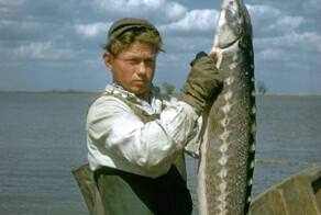 Добыча черной икры в 1960 году