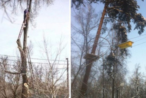 Премию Дарвина можно получить только один раз 