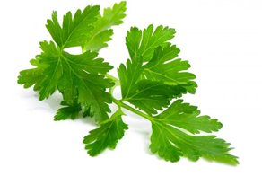 Акцент ценою в жизнь