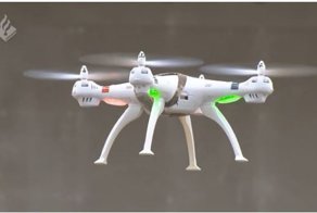 В Нидерландах орлов натаскали на ловлю дронов