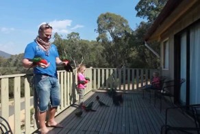 Самое обычное утро в австралийской деревне 