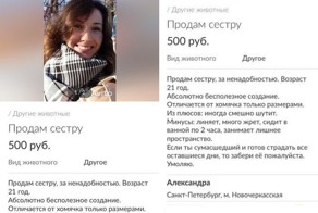 22 новых умопомрачительных объявлений с AVITO