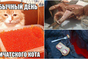 Утомленные икрой: какая она, жизнь на Камчатке?