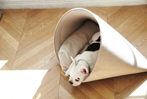 Дизайнерские диваны и лежаки для собак от HOWLPOT