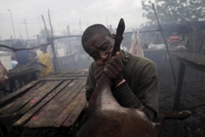 Жуткий мясной рынок в Гаити