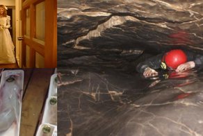 12 картинок, от которых вам станет очень и очень неуютно