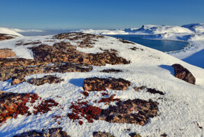 Териберка, Мурманская область