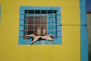 Когда муж вернулся из командировки домой на один день раньше