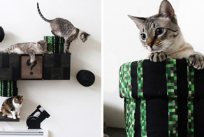 Превращение гостиной в кошачий мир Марио 