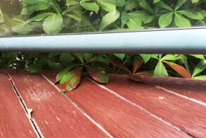  Девушка наняла нелегала покрасить веранду