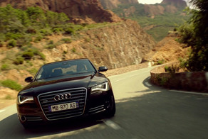 Полезные советы начинающим водителям