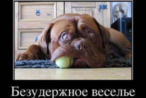 Подборка демотиваторов, которые поднимут вам настроение!