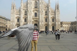 Птицы - лучшие фотобомберы из мира животных