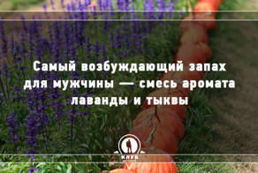 10 научных фактов о любви и сексе
