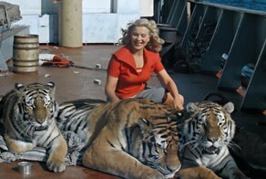 Животные в кино: 5 необычных судеб