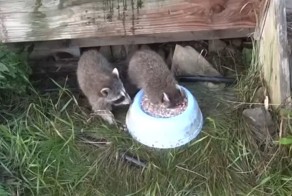 Вот что значит окунуться в удовольствие с головой!