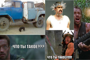 Даже железные нервы Арни не вынесли этих фотографий!