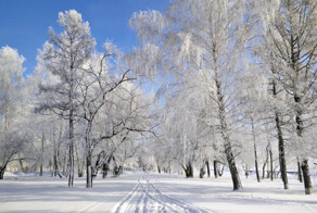 А у нас сегодня включили сказку