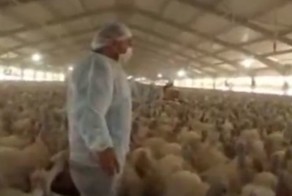 Идущие на смерть приветствуют тебя!