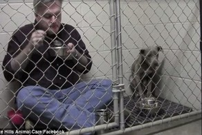 Заботливый ветеринар позавтракал в клетке с испуганной и брошенной собакой, чтобы успокоить её