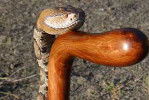 Столяр с прямыми руками вырезает деревянную трость со змеей. Просто фантастическое мастерство!