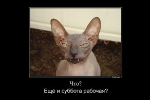 Пятница ненастоящая... да и суббота тоже