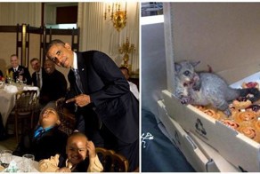 19 потрясающих ситуаций, в которые было бы сложно поверить, если бы не фотосвидетельство