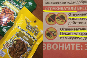 Личинки к пиву и 18 других странностей, в которые отказываешься верить 