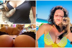 25 ситуаций, когда жалеешь, что родился не животным