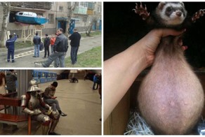 Теперь вы точно сможете сказать, что видели в этой жизни всё