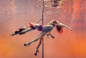 Фотоподборка за 26.02.2016