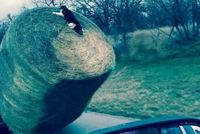 Вы не поверите, что эти 17 фотографий были сделаны на самом деле!